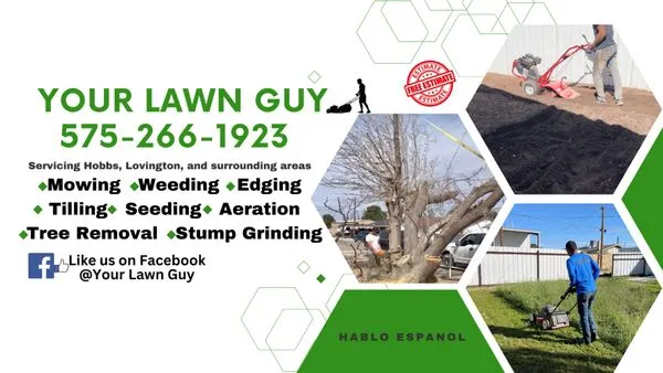 Your Lawn Guy
