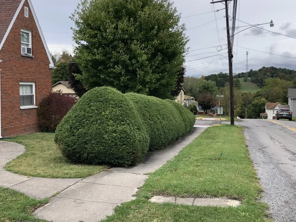 Professional residential landscaping in Kingwood, WV by Your Lawn Guys