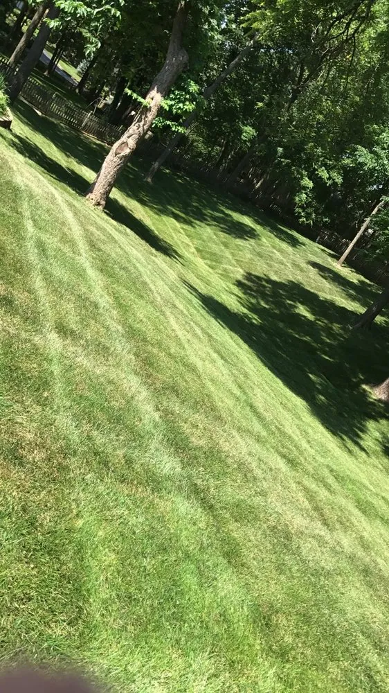 Local yard cleanup service experts serving Blue Springs, MO - Your Lawn Needs