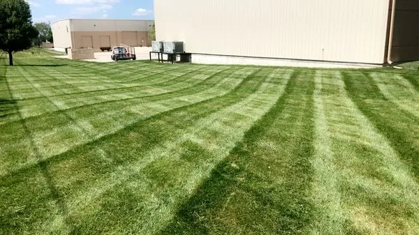Your Lawn Needs Logo