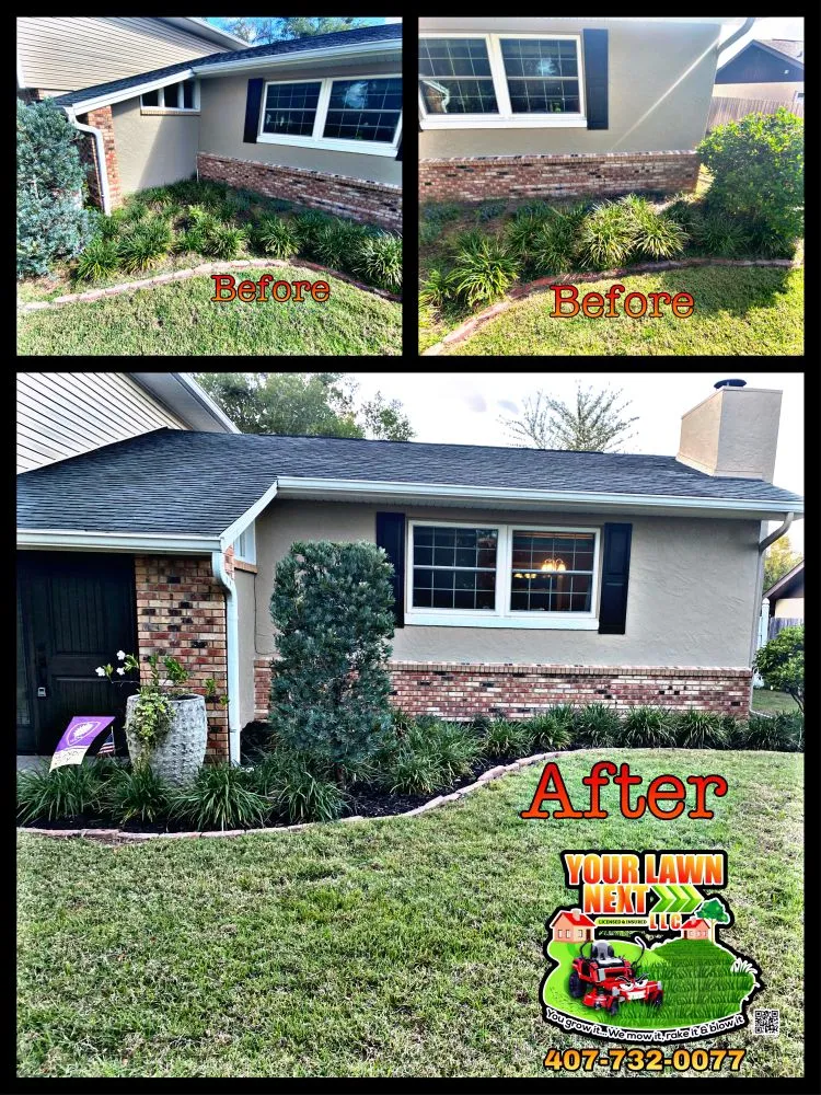Top-rated yard maintenance in Altamonte Springs, FL by Your Lawn Next