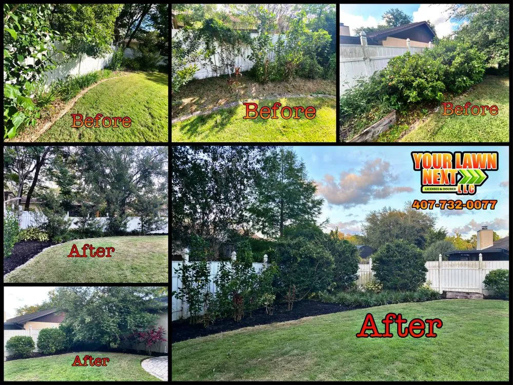 Custom yard cleanup service in Altamonte Springs, FL by Your Lawn Next