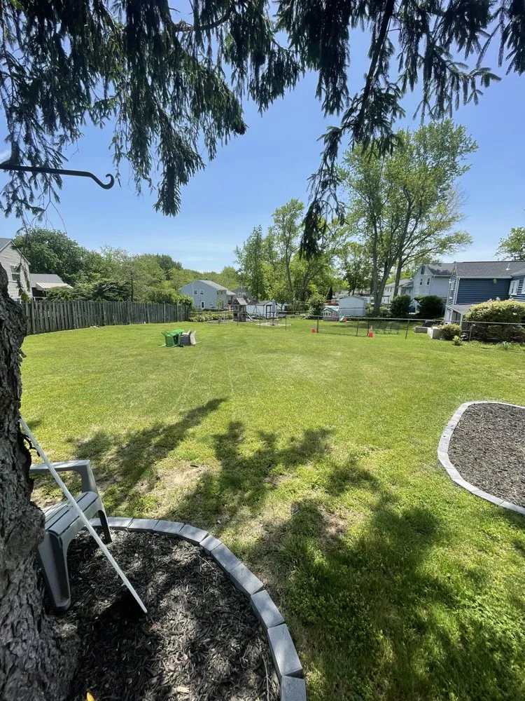 Top-rated yard cleanup service in Red Bank, NJ by Your Lawn Service