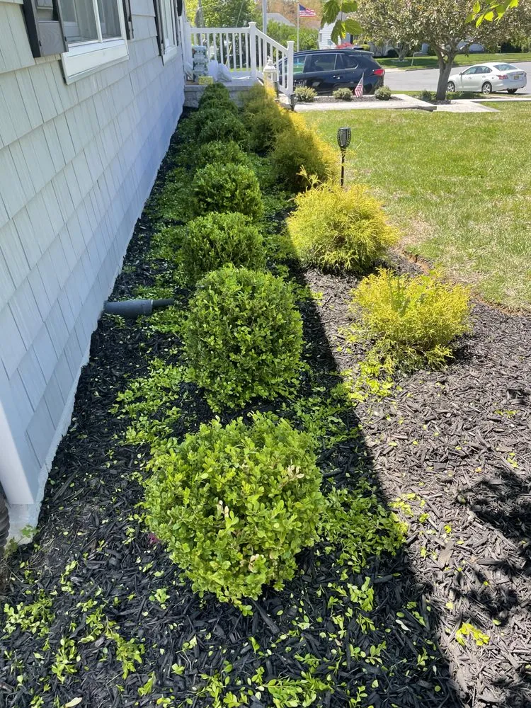 Reliable lawn mowing service experts serving Red Bank, NJ - Your Lawn Service