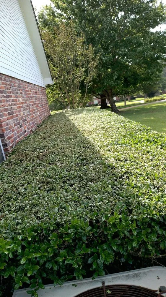 Reliable outdoor landscaping in Red Bank, NJ - Your Lawn Service