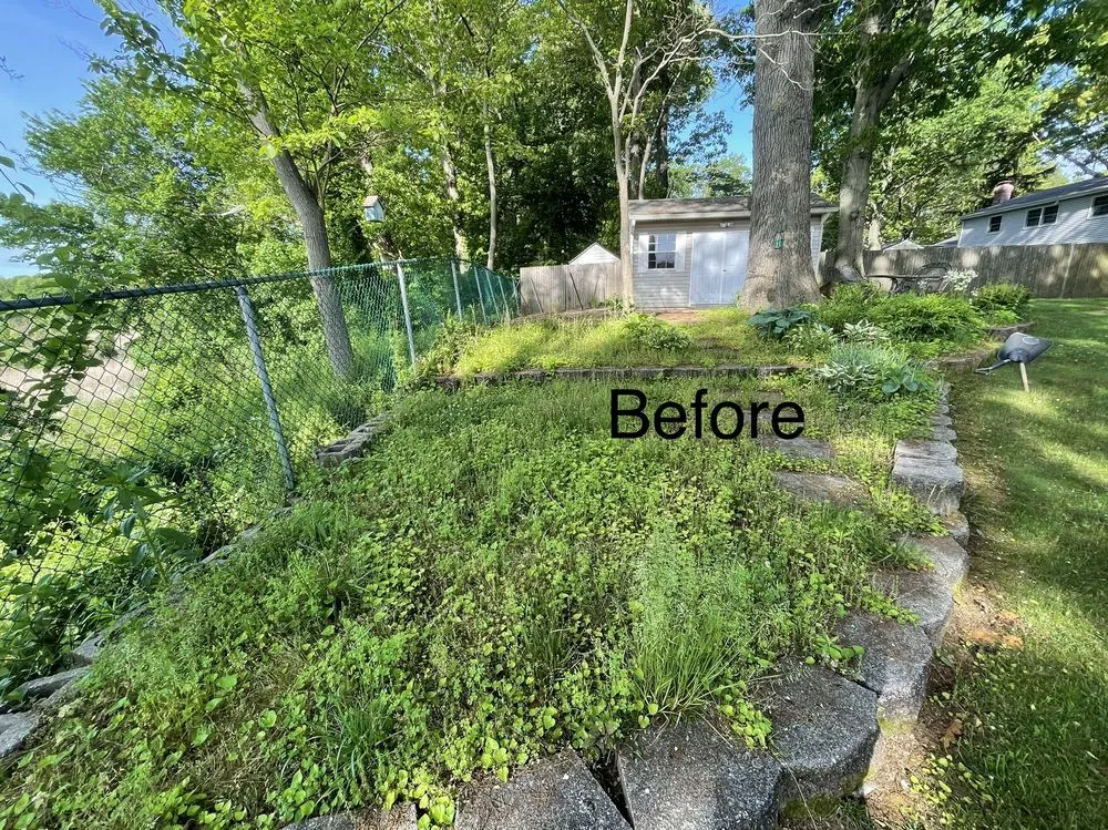 Trusted yard maintenance experts serving Red Bank, NJ - Your Lawn Service