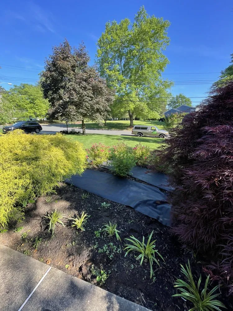 Affordable lawn mowing service for year-round maintenance across Red Bank, NJ - Your Lawn Service