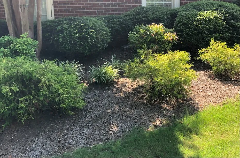 Top-rated landscape installation experts serving Cumming, GA - Your Local Groundskeeper