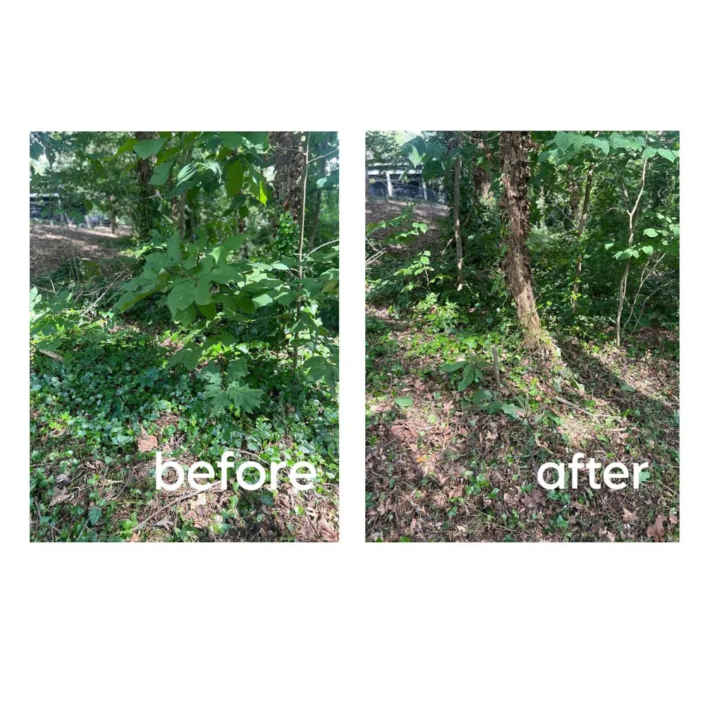 Expert landscape installation in Mooresville, NC - Your Local Landscaper