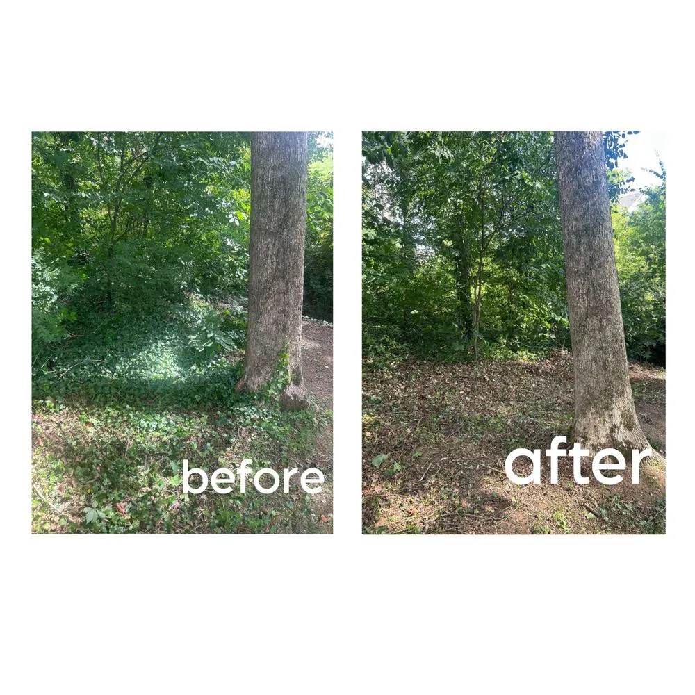 Expert landscape installation experts serving Mooresville, NC - Your Local Landscaper