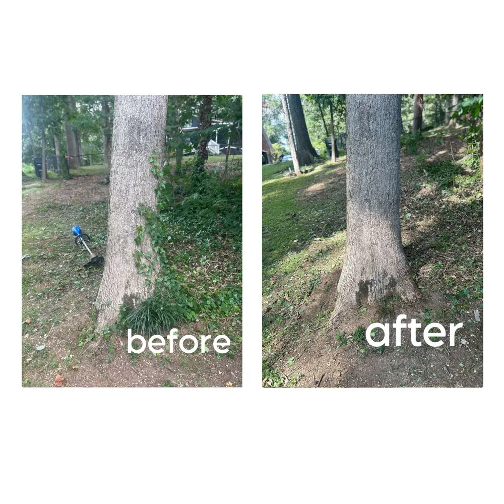 Affordable yard cleanup service in Mooresville, NC - Your Local Landscaper