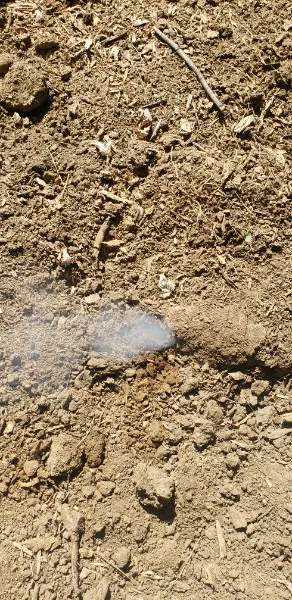 Local outdoor landscaping for homes in Ursa, IL by Your Local Mole Patrol