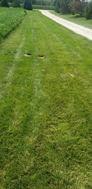 Custom lawn mowing service for beautiful yards across Ursa, IL - Your Local Mole Patrol