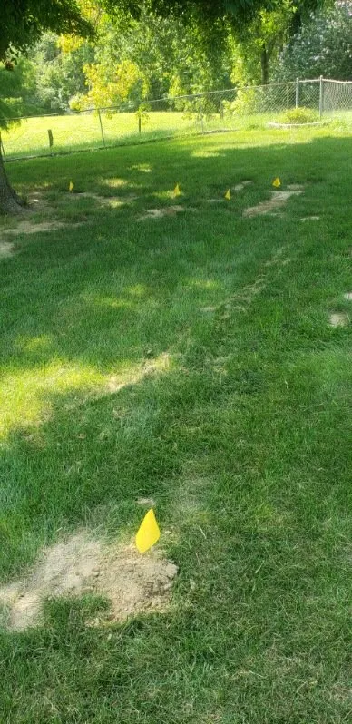 Professional garden landscaping experts serving Ursa, IL - Your Local Mole Patrol