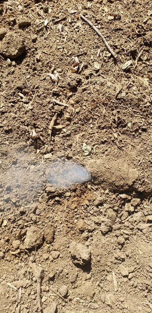 Reliable garden landscaping for year-round maintenance across Ursa, IL - Your Local Mole Patrol