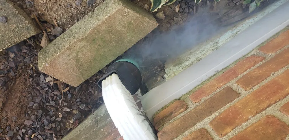 Expert lawn care service in Ursa, IL by Your Local Mole Patrol