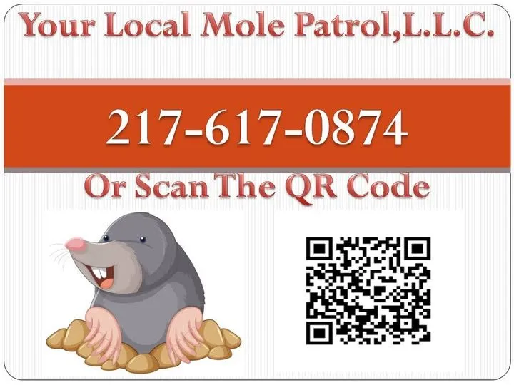 Expert yard cleanup service for year-round maintenance across Ursa, IL - Your Local Mole Patrol