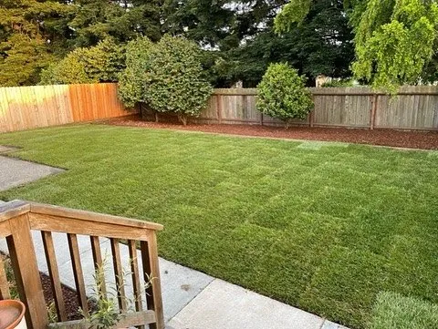 Affordable residential landscaping for beautiful yards in Sacramento, CA by Your Local Mow Man