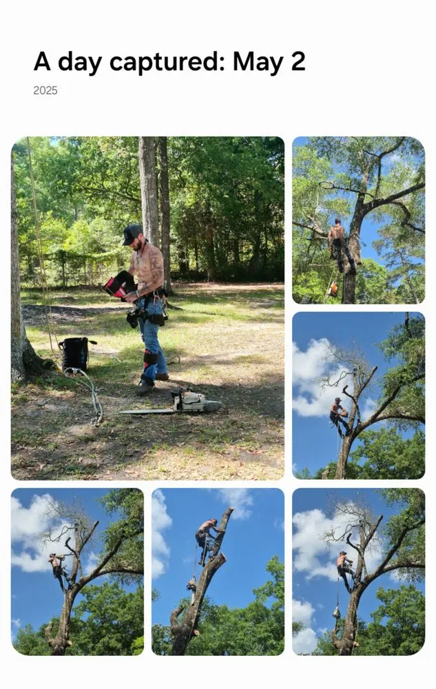 Affordable outdoor landscaping experts serving Tallahassee, FL - Your Maid Cinnie