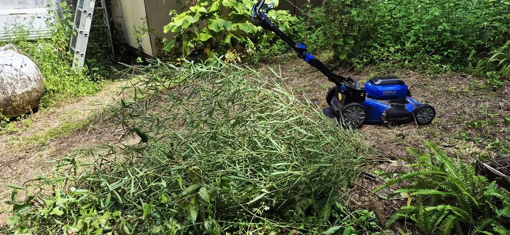 Top-rated landscape design with custom design in Tallahassee, FL by Your Maid Cinnie