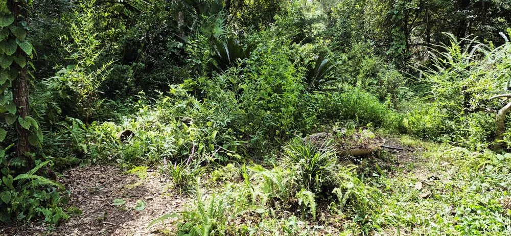 Expert outdoor landscaping for residential properties in Tallahassee, FL by Your Maid Cinnie