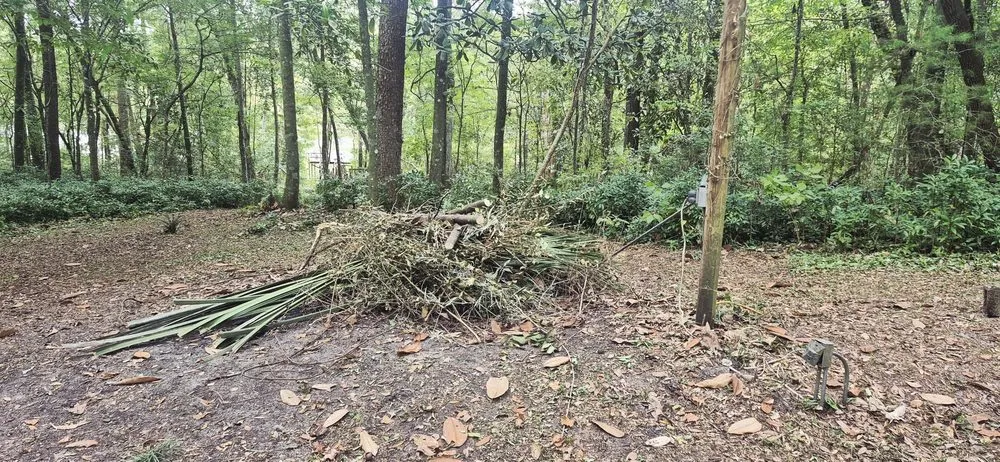 Professional outdoor landscaping in Tallahassee, FL by Your Maid Cinnie