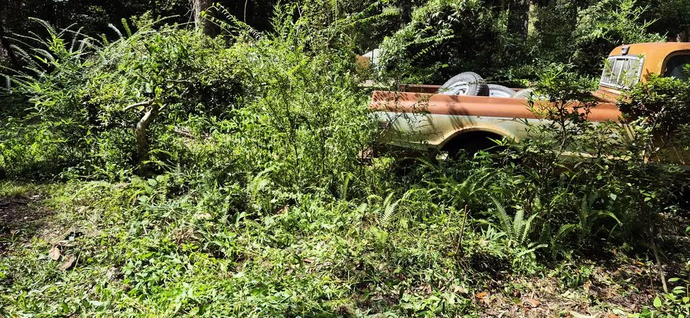 Reliable yard cleanup service with custom design across Tallahassee, FL - Your Maid Cinnie