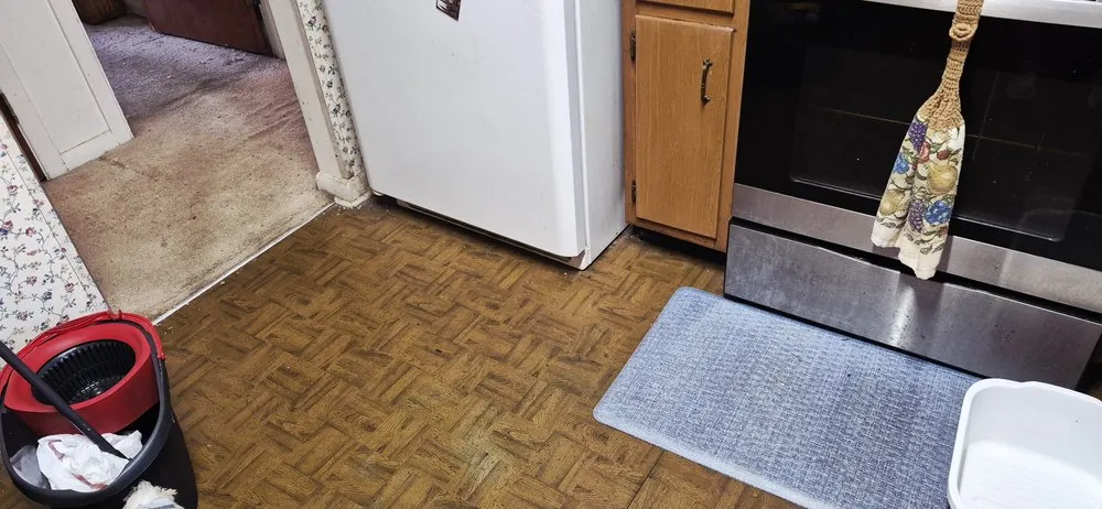 Reliable yard cleanup service in Tallahassee, FL - Your Maid Cinnie