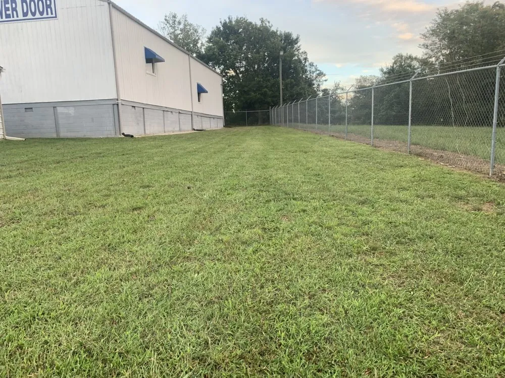 Expert yard cleanup service for outdoor upgrades in Greenville, SC by Your Miracle Lawn Service