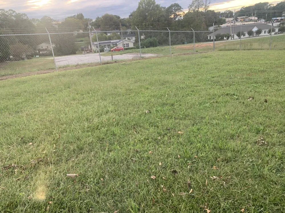 Top-rated yard maintenance with custom design in Greenville, SC by Your Miracle Lawn Service