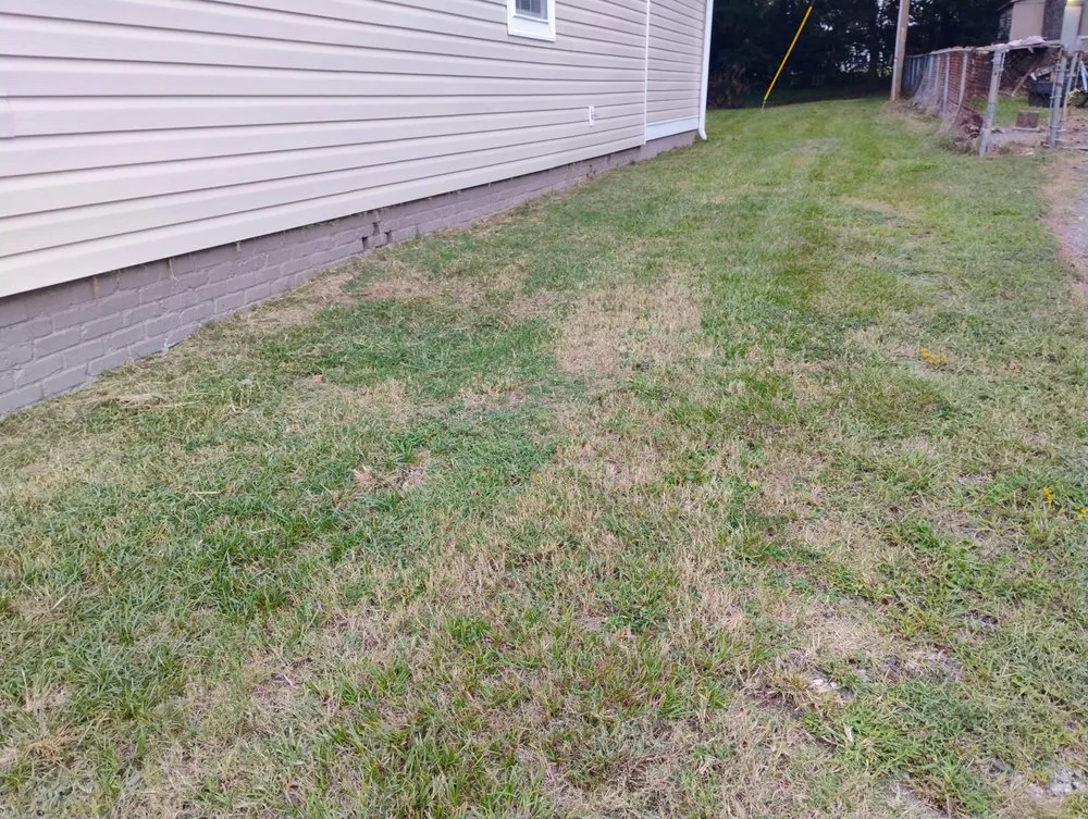 Top-rated landscaping services in Spartanburg, SC by Your Miracle Lawn Service