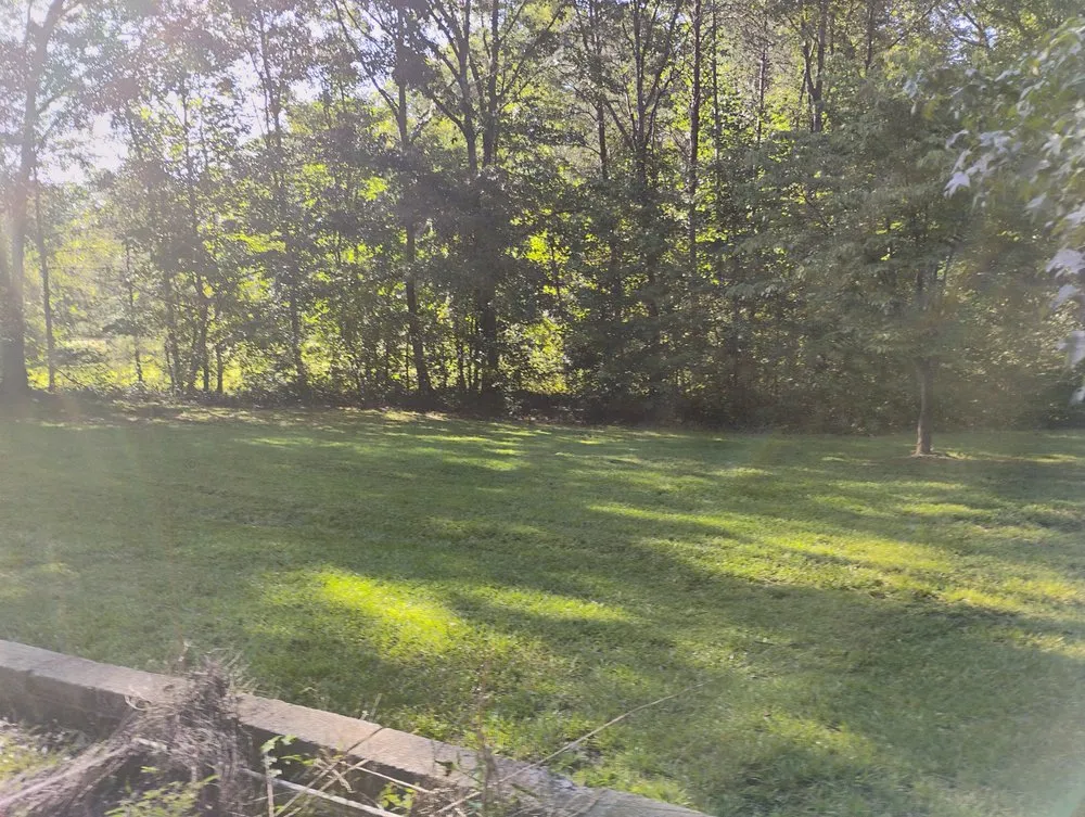 Expert lawn care service in Spartanburg, SC by Your Miracle Lawn Service