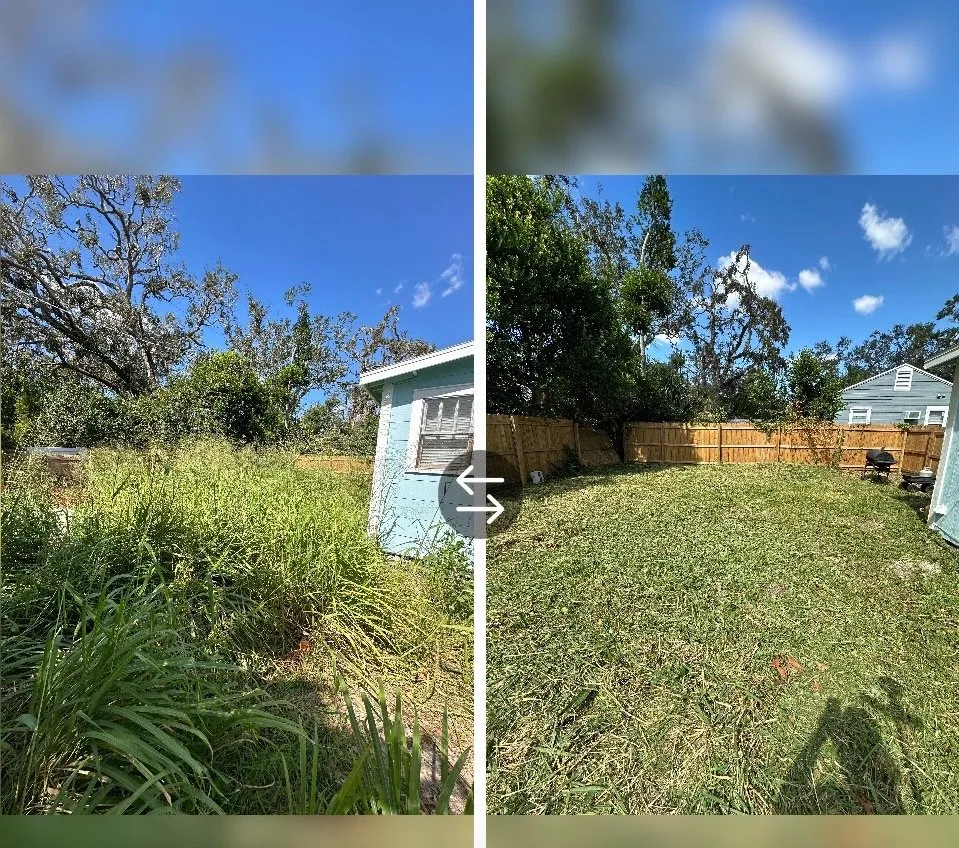 Professional residential landscaping for year-round maintenance in St. Petersburg, FL by Your Money Worth Landscape