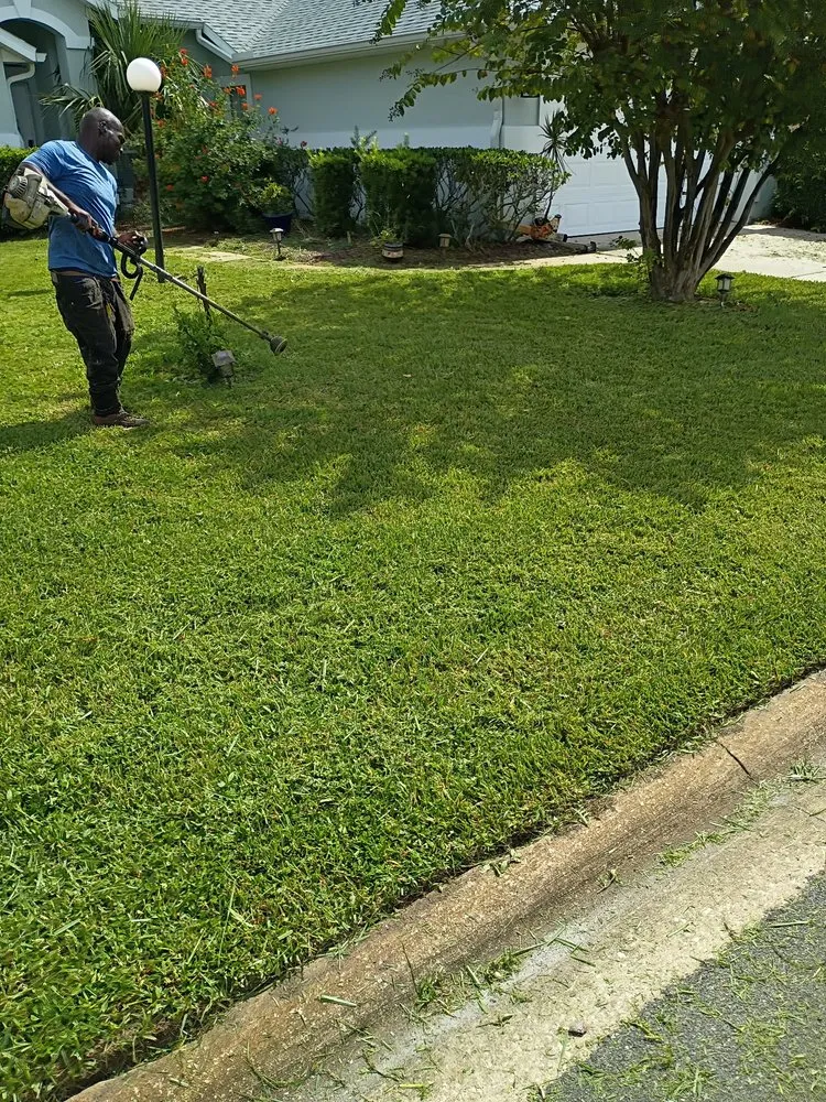 Professional landscape installation in St. Augustine, FL by Your Neighborhood Lawn Guy
