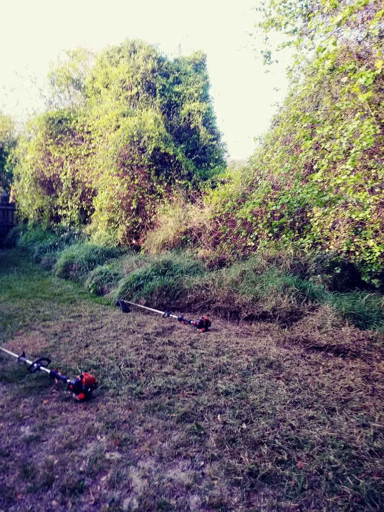 Custom landscape installation near you across Casselberry, FL - Your Neighborhood Lawn Service