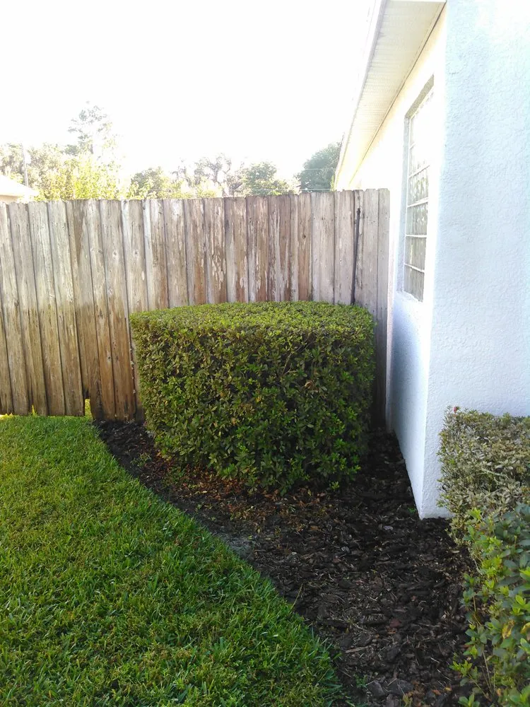 Expert residential landscaping experts serving Casselberry, FL - Your Neighborhood Lawn Service