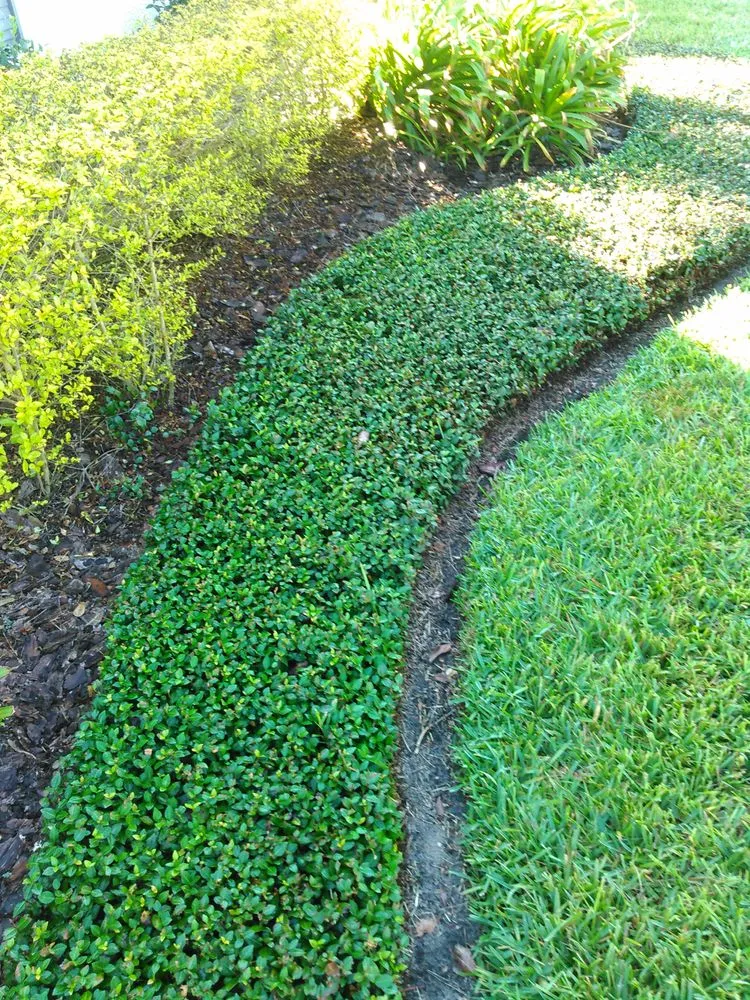 Custom lawn mowing service in Casselberry, FL by Your Neighborhood Lawn Service