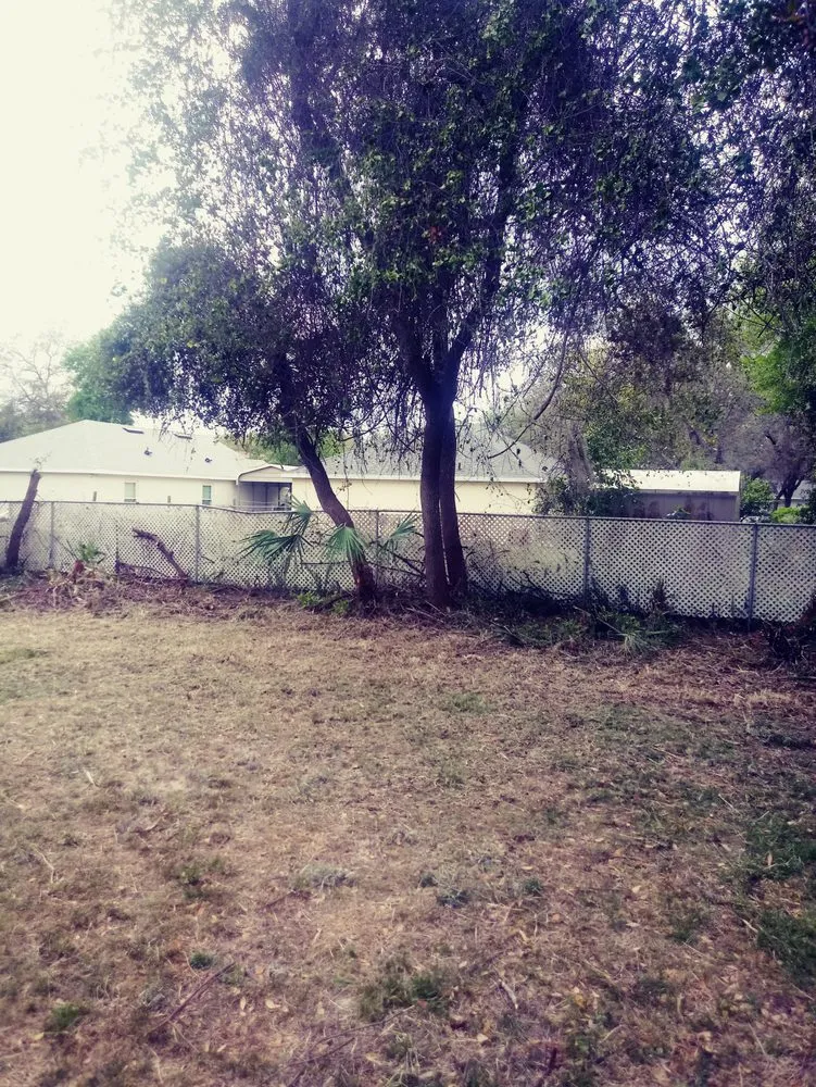 Custom residential landscaping near you in Casselberry, FL by Your Neighborhood Lawn Service