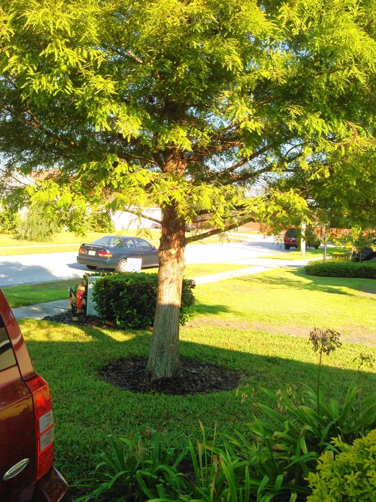 Top-rated lawn care service with custom design in Casselberry, FL by Your Neighborhood Lawn Service