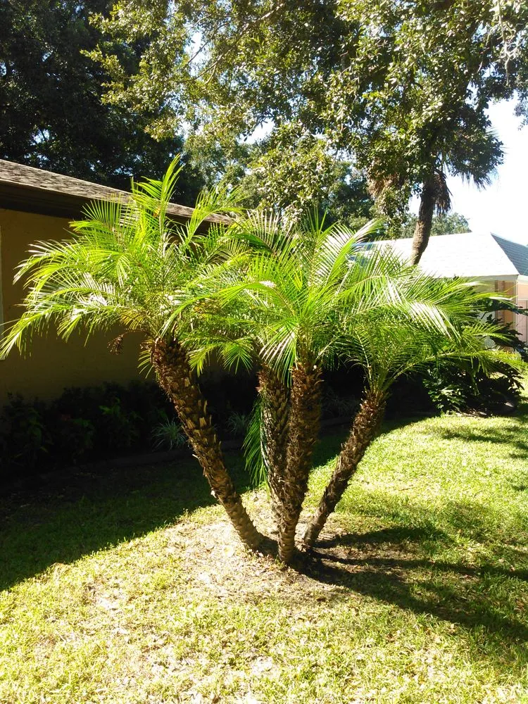 Reliable garden landscaping experts serving Casselberry, FL - Your Neighborhood Lawn Service