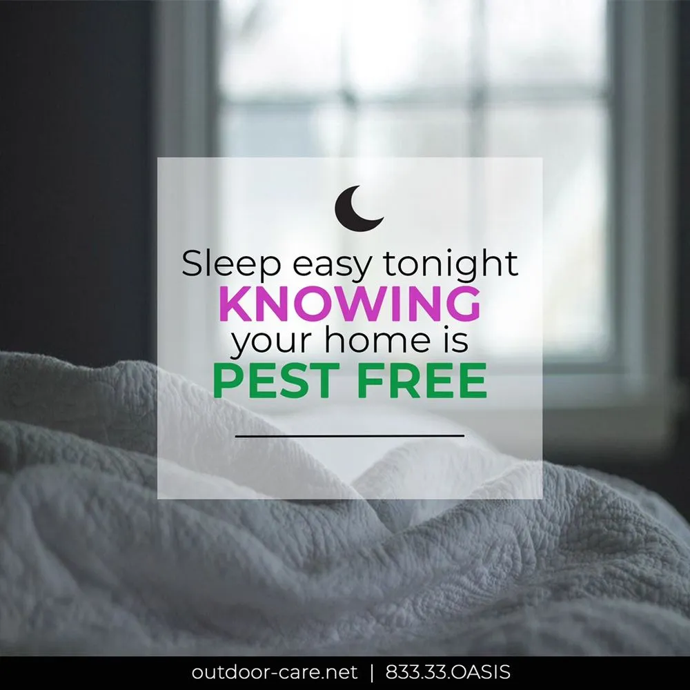 Local lawn care service experts serving Groveland, FL - Your Oasis