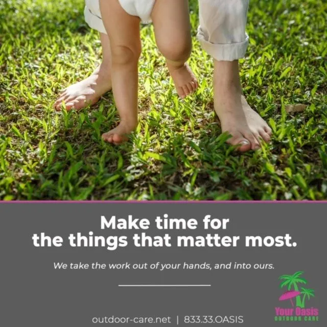 Expert garden landscaping experts serving Groveland, FL - Your Oasis