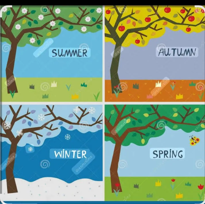 Professional residential landscaping in Randolph, MA by Your Option H Landscaping