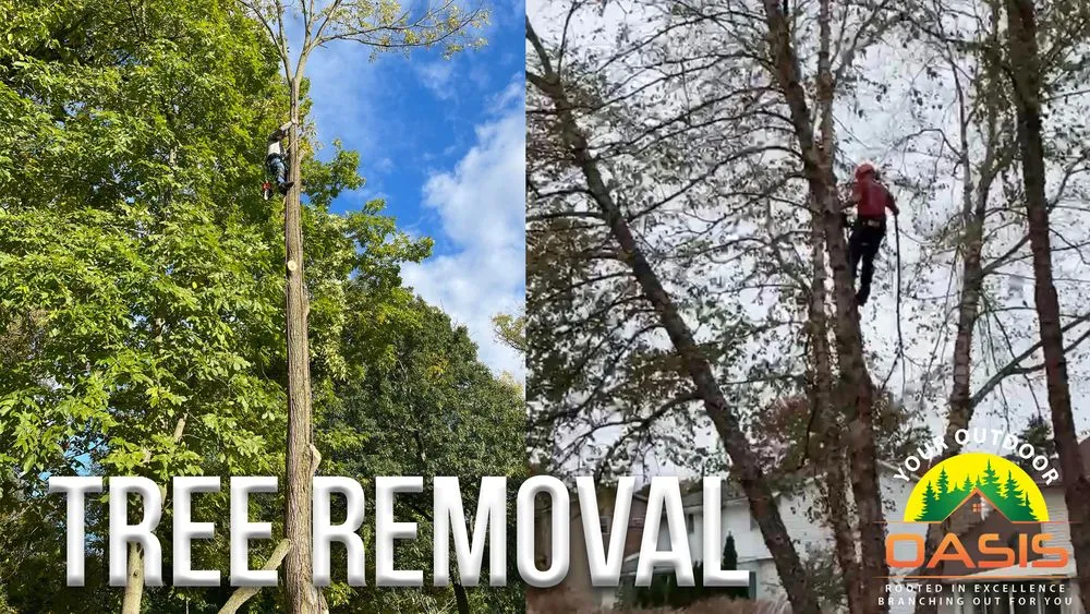 Reliable landscaping services near you in Akron, OH by Your Outdoor Oasis