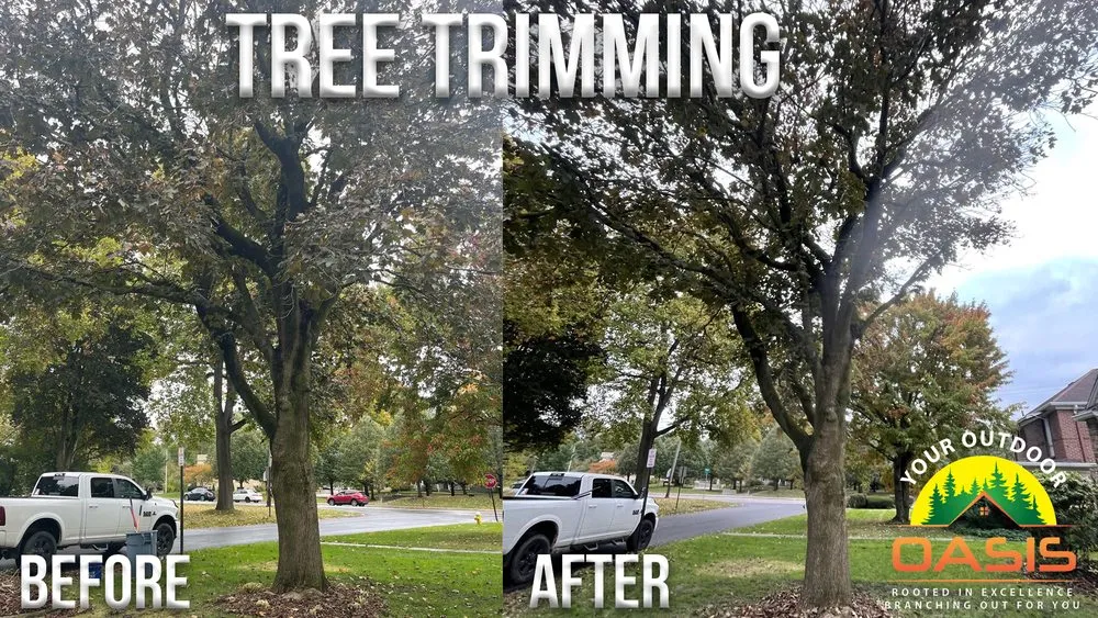 Affordable landscape installation in Akron, OH - Your Outdoor Oasis