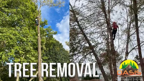 Your Outdoor Oasis Logo