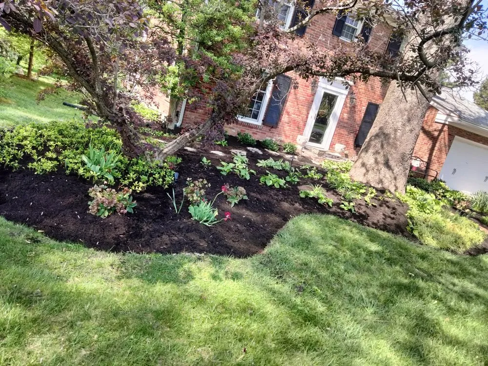 Reliable lawn care service in New Albany, IN - Your Perfect Outdoors