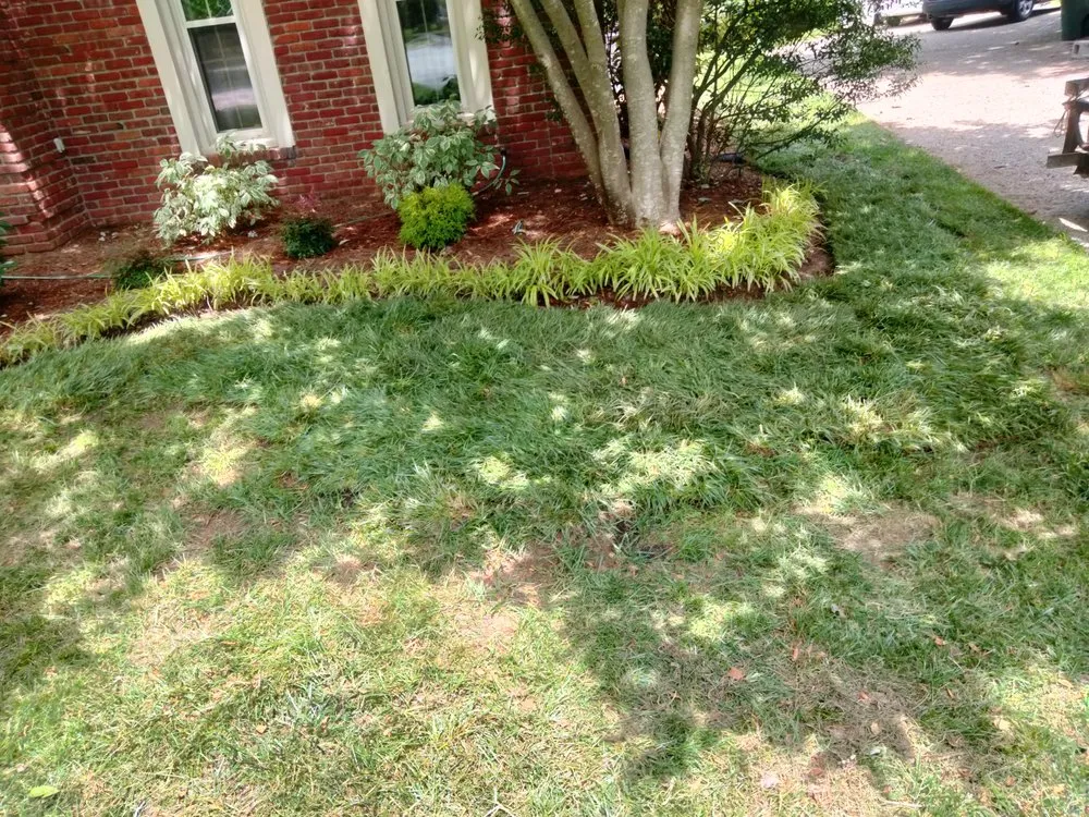 Reliable outdoor landscaping experts serving New Albany, IN - Your Perfect Outdoors