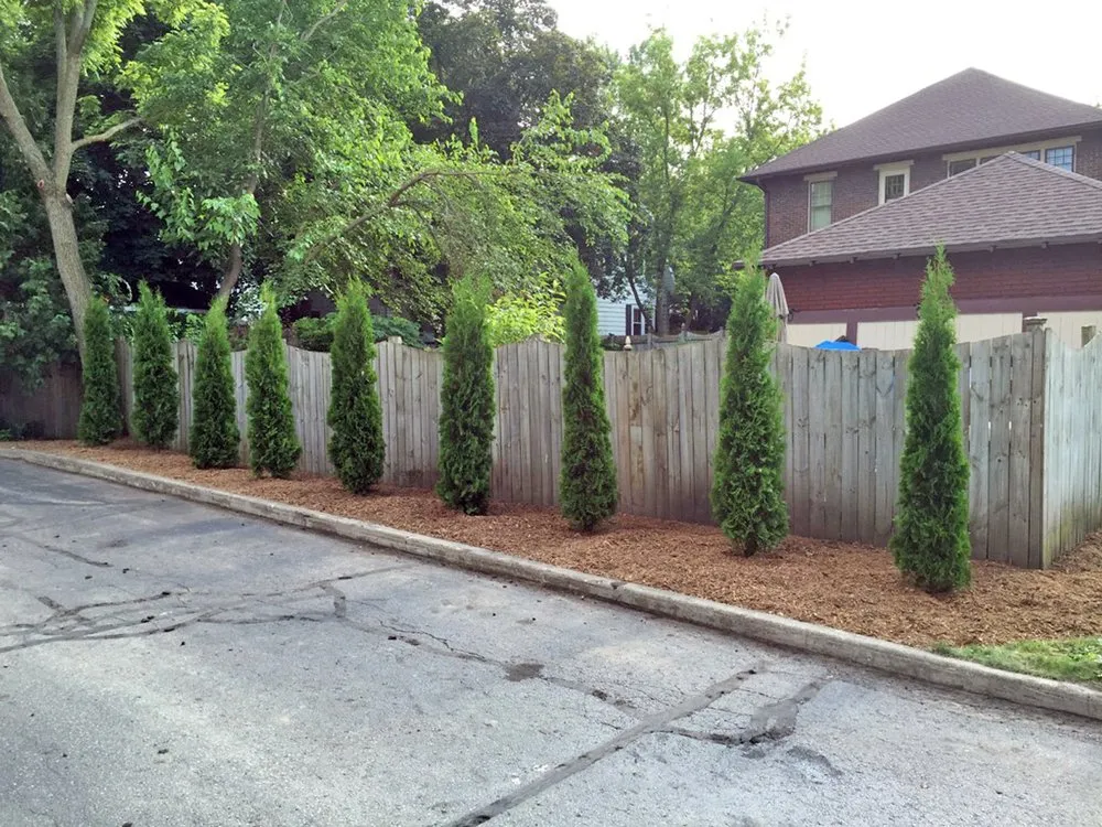 Professional landscaping services in East Troy, WI - Your Personal Gardener and Arborist