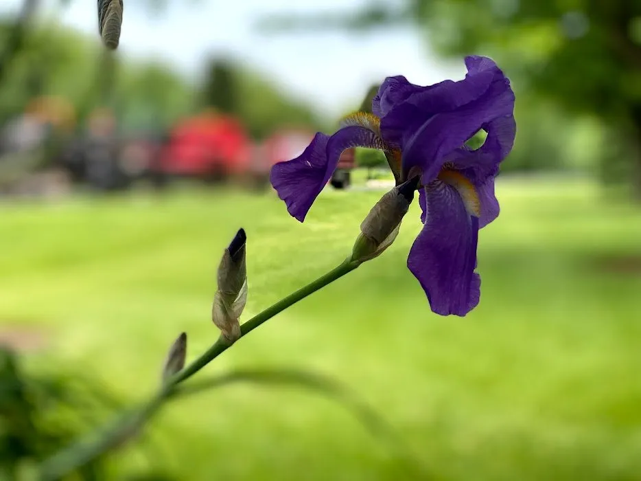 Local outdoor landscaping near you across East Troy, WI - Your Personal Gardener and Arborist